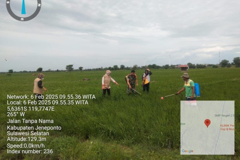 IMG-20250206-WA0022