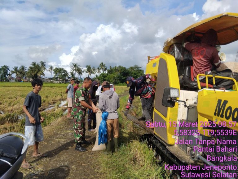 IMG-20250315-WA0033(1)