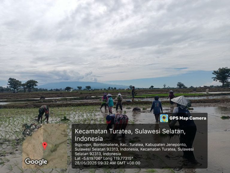 IMG-20250528-WA0037(1)