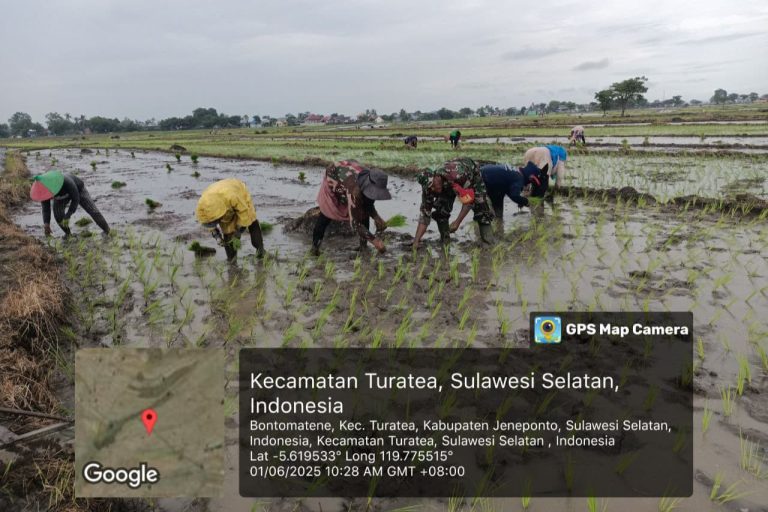 IMG-20250601-WA0036(1)
