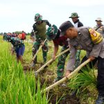 TMMD ke-128 Kodim 1425/Jeneponto: Menembus Batas, Menganyam Harapan dalam Satu Langkah Pengabdian
