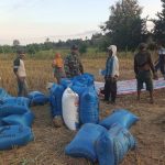 Menjemput Hasil, Menjaga Harapan: Aksi Nyata Babinsa Kodim 1425/Jeneponto di Tengah Panen Padi