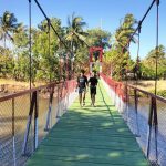 IMG_20260818_120212