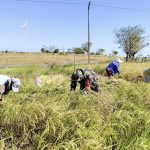 IMG_20260913_160652